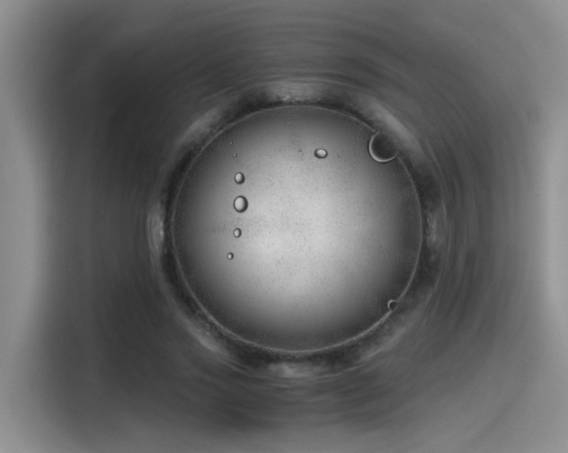 X0000115260733200911061238