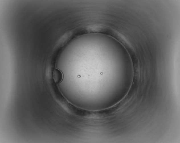 X0000115260738200911061238