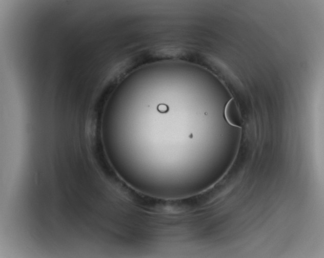 X0000115260739200911061238