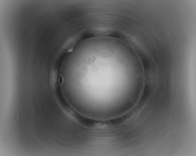 X0000115260742200911061238