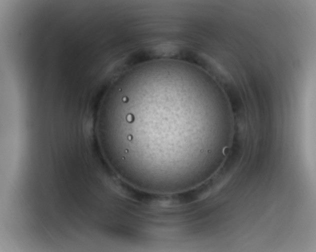X0000115260745200911061238