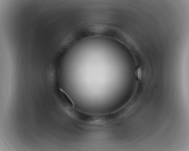 X0000115260750200911061238