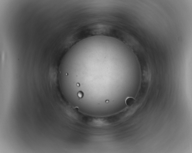 X0000115260753200911061238