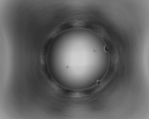 X0000115260755200911061238