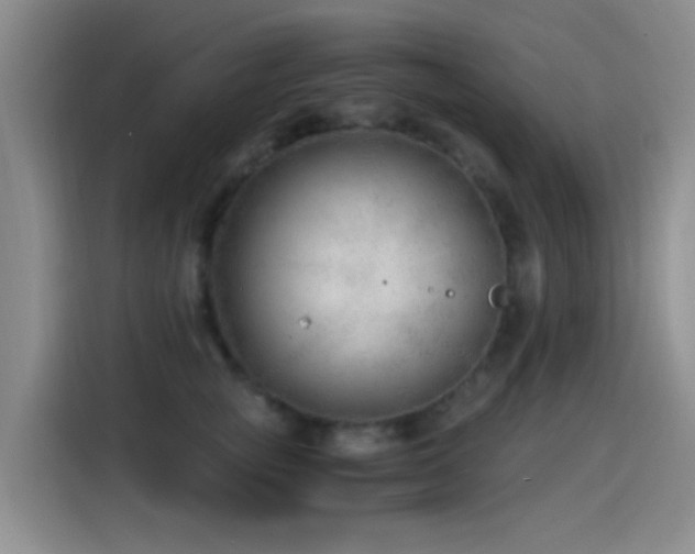 X0000115260757200911061238