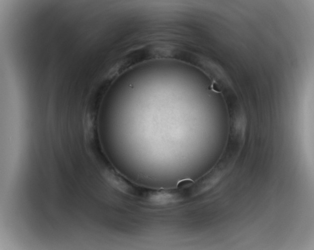 X0000115260759200911061239