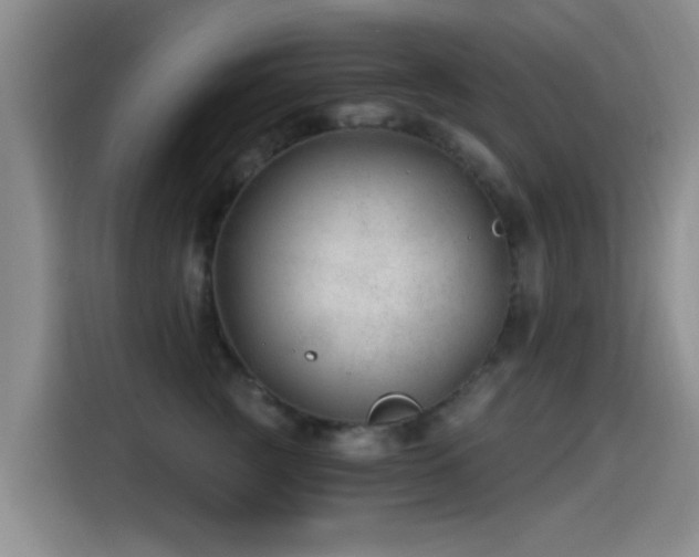 X0000115260761200911061239