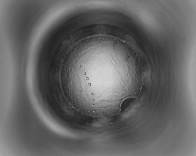 X0000115260765200911061239