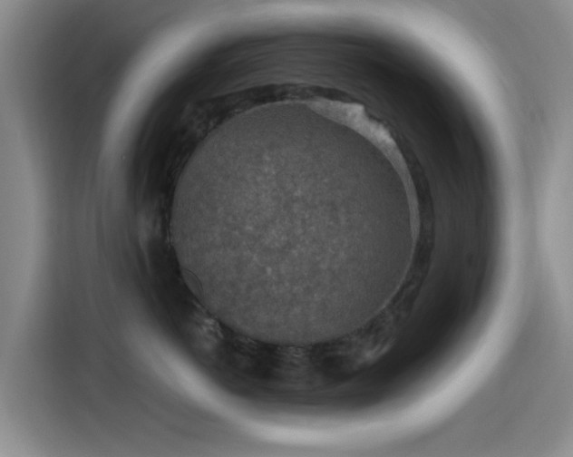 X0000115260766200911061239