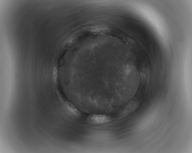 X0000115260767200911061239