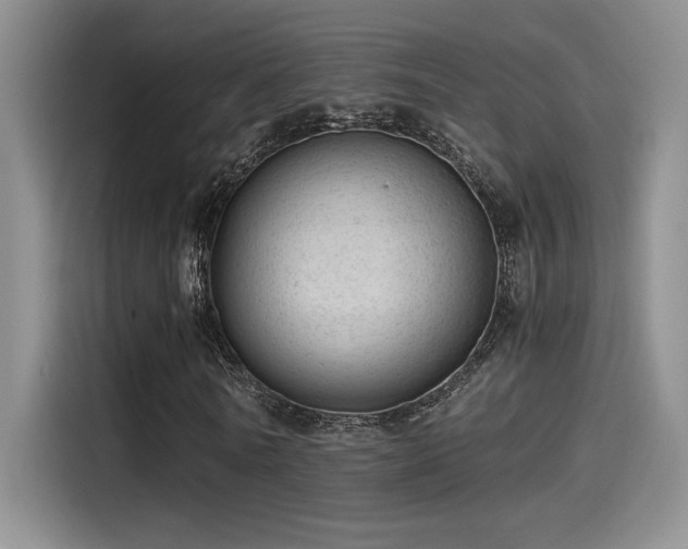 X0000115260770200911061238