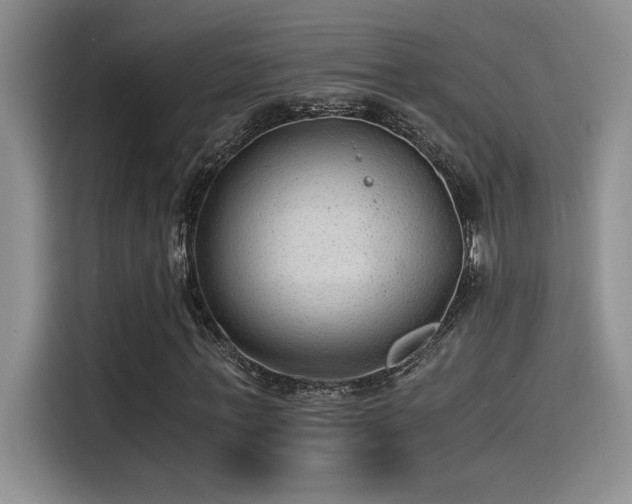 X0000115260771200911061238