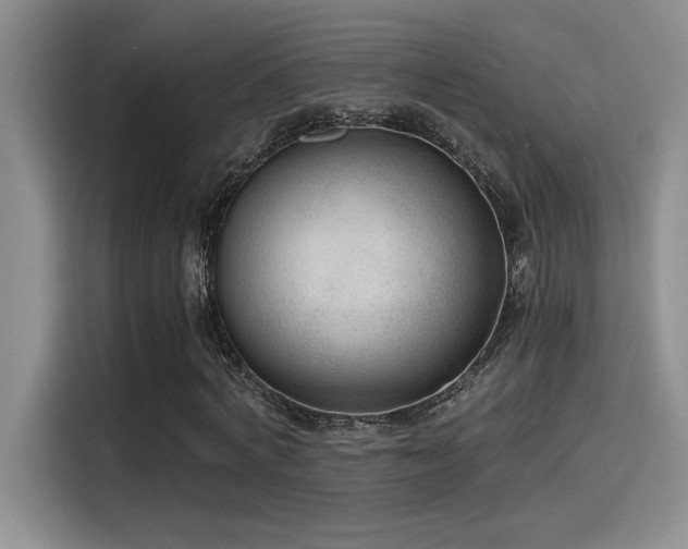 X0000115260772200911061238