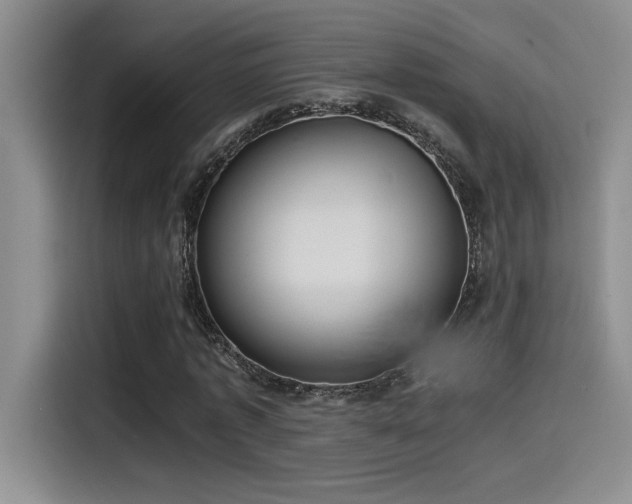 X0000115260773200911061238