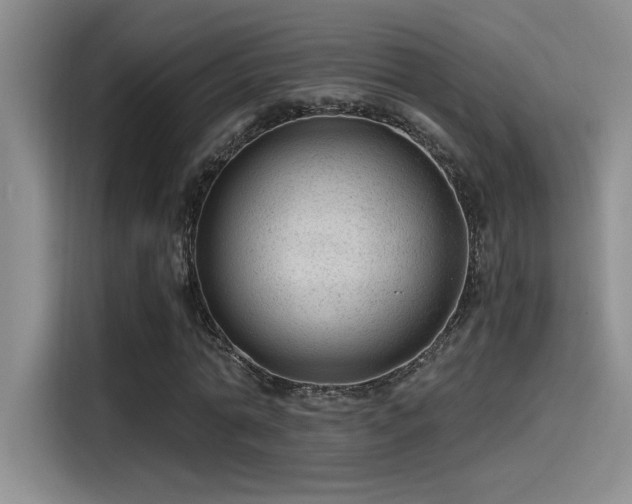 X0000115260774200911061238