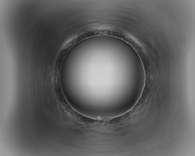 X0000115260775200911061238