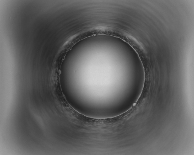 X0000115260776200911061238