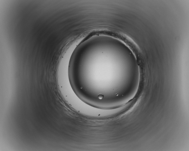 X0000115260777200911061238