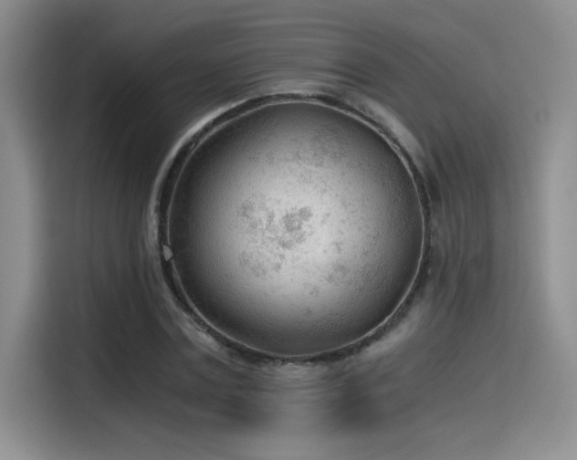 X0000115260779200911061238