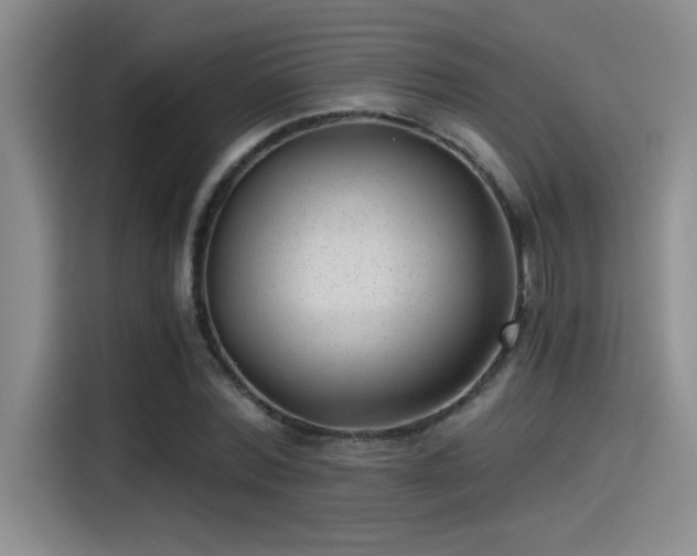 X0000115260780200911061238