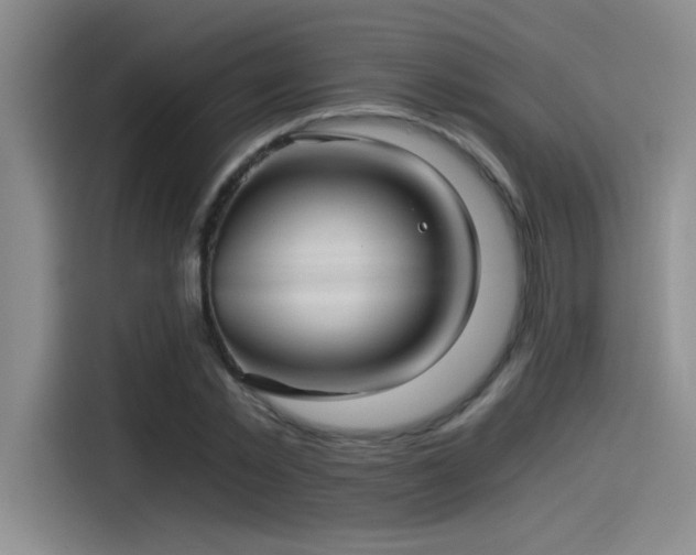 X0000115260781200911061238