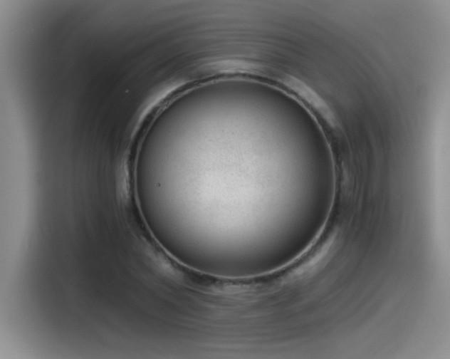 X0000115260782200911061238