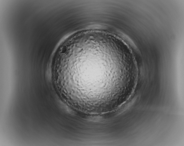 X0000115260784200911061238