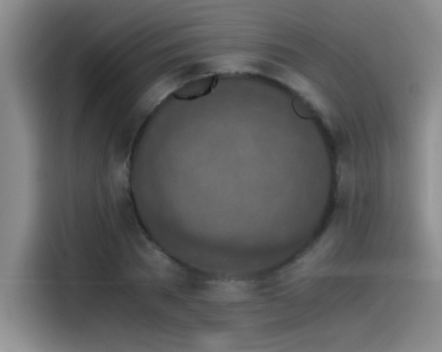 X0000115260785200911061238