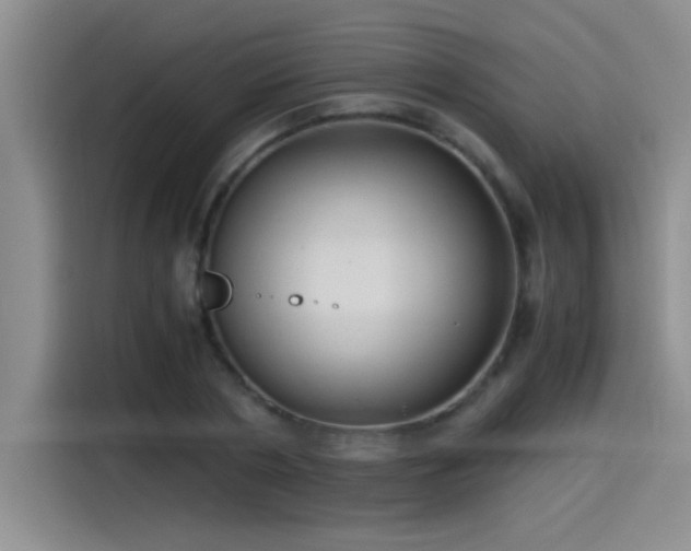 X0000115260786200911061238