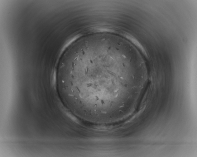 X0000115260790200911061238