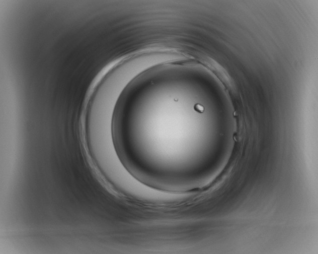 X0000115260796200911061238