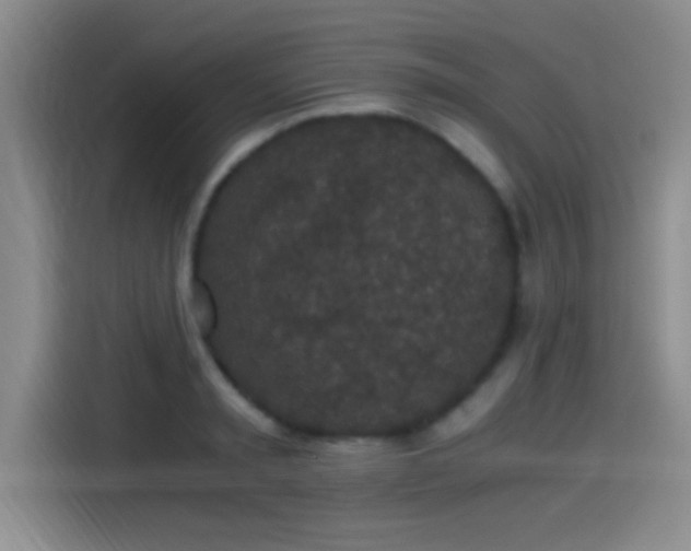 X0000115260797200911061238