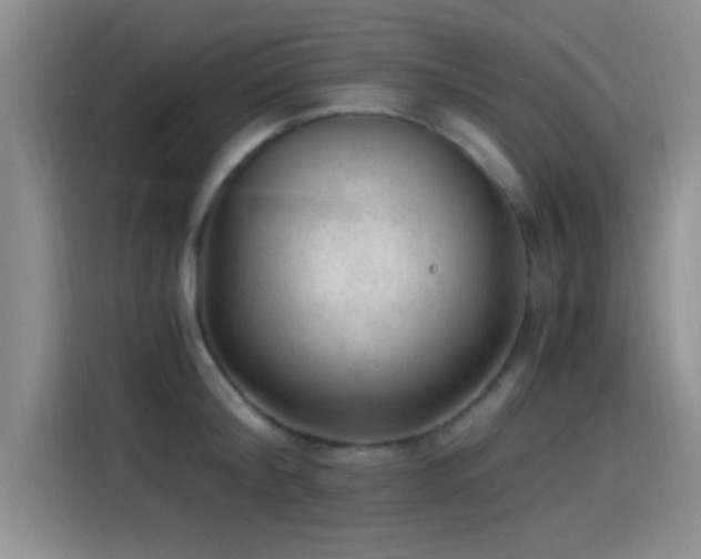 X0000115260804200911061238