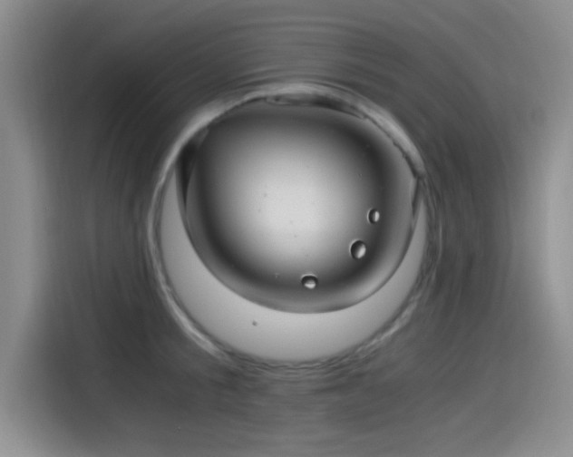 X0000115260805200911061238