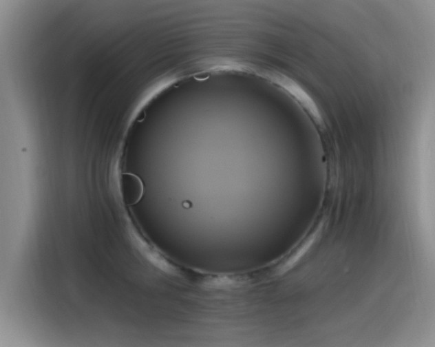 X0000115260806200911061238