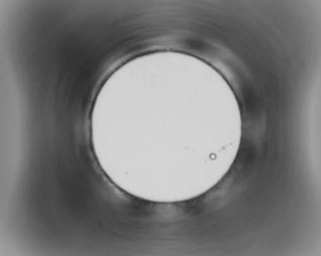 X0000115260807200911061238