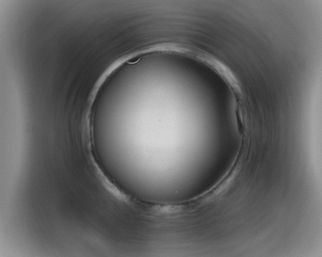 X0000115260808200911061237