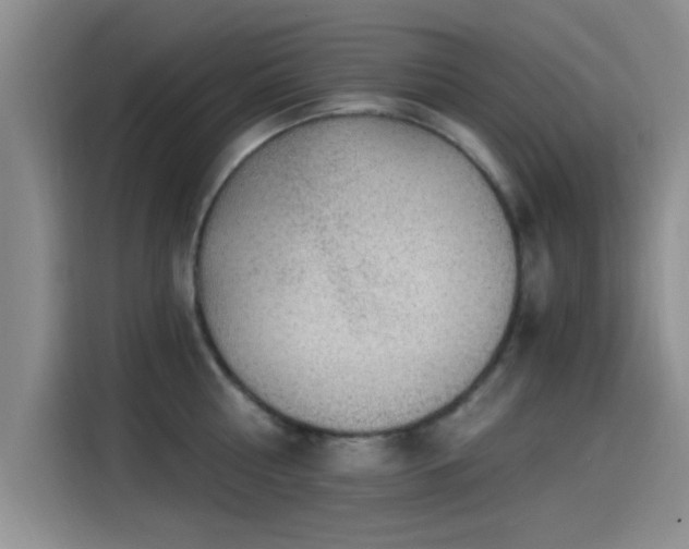 X0000115260810200911061237