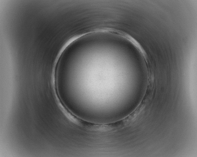 X0000115260811200911061237