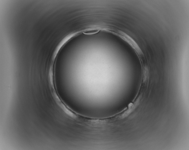 X0000115260812200911061237