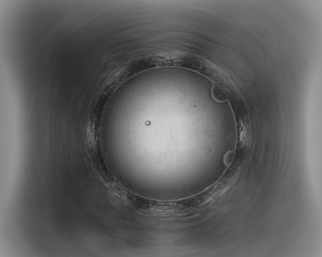 X0000115260819200911061237