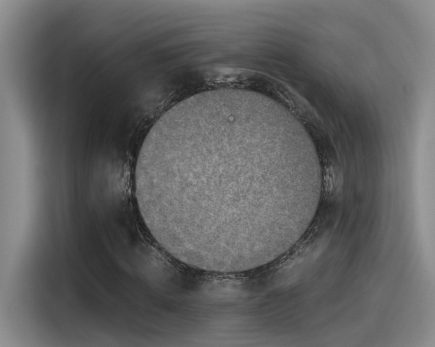 X0000115260820200911061237