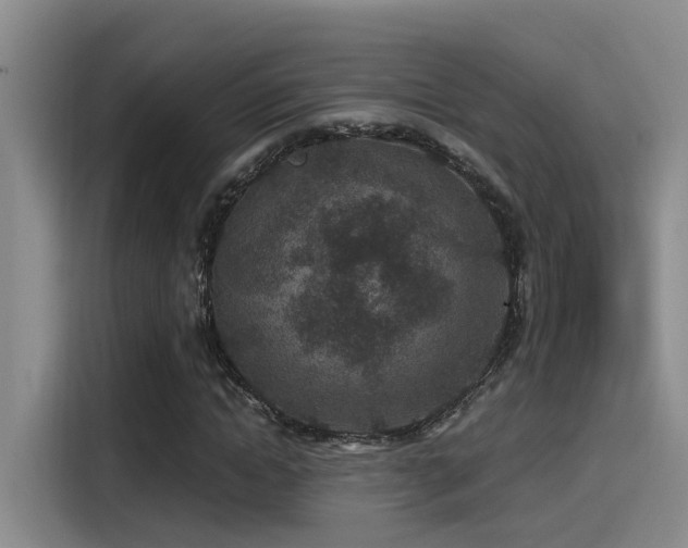 X0000115260822200911061237