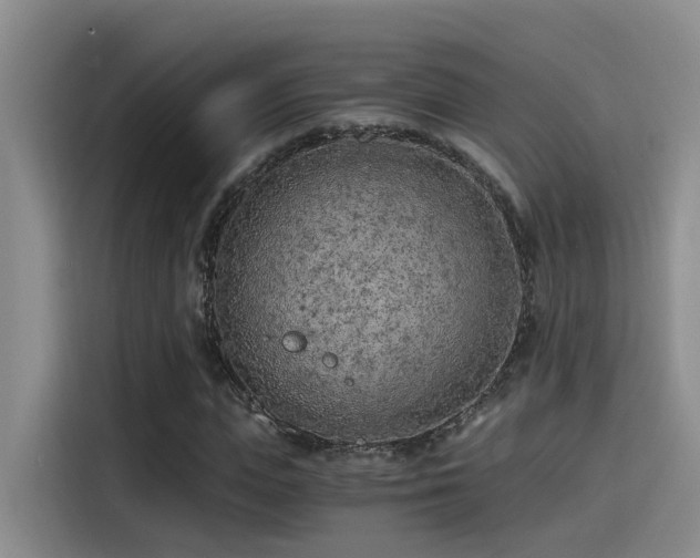 X0000115260823200911061237
