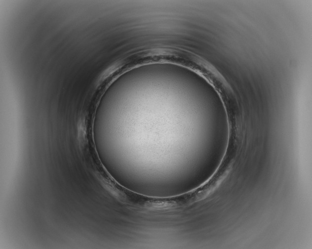 X0000115260826200911061237