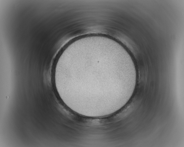 X0000115260828200911061237