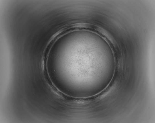 X0000115260829200911061237