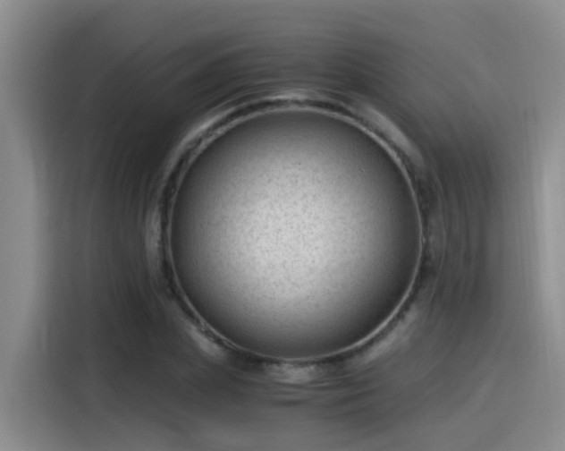 X0000115260831200911061237