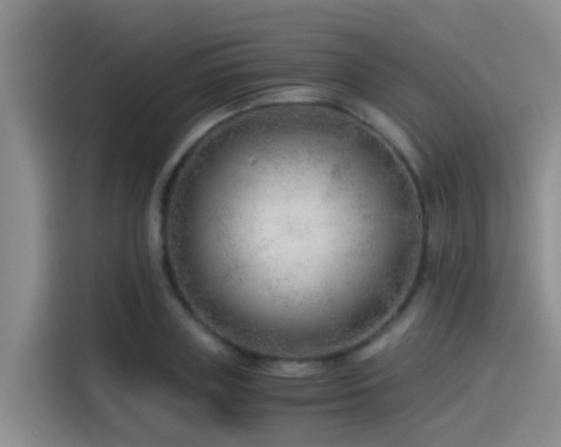 X0000115260835200911061237