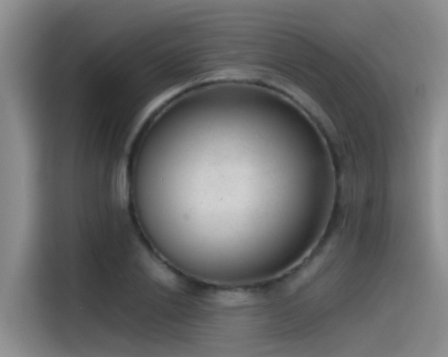 X0000115260838200911061237